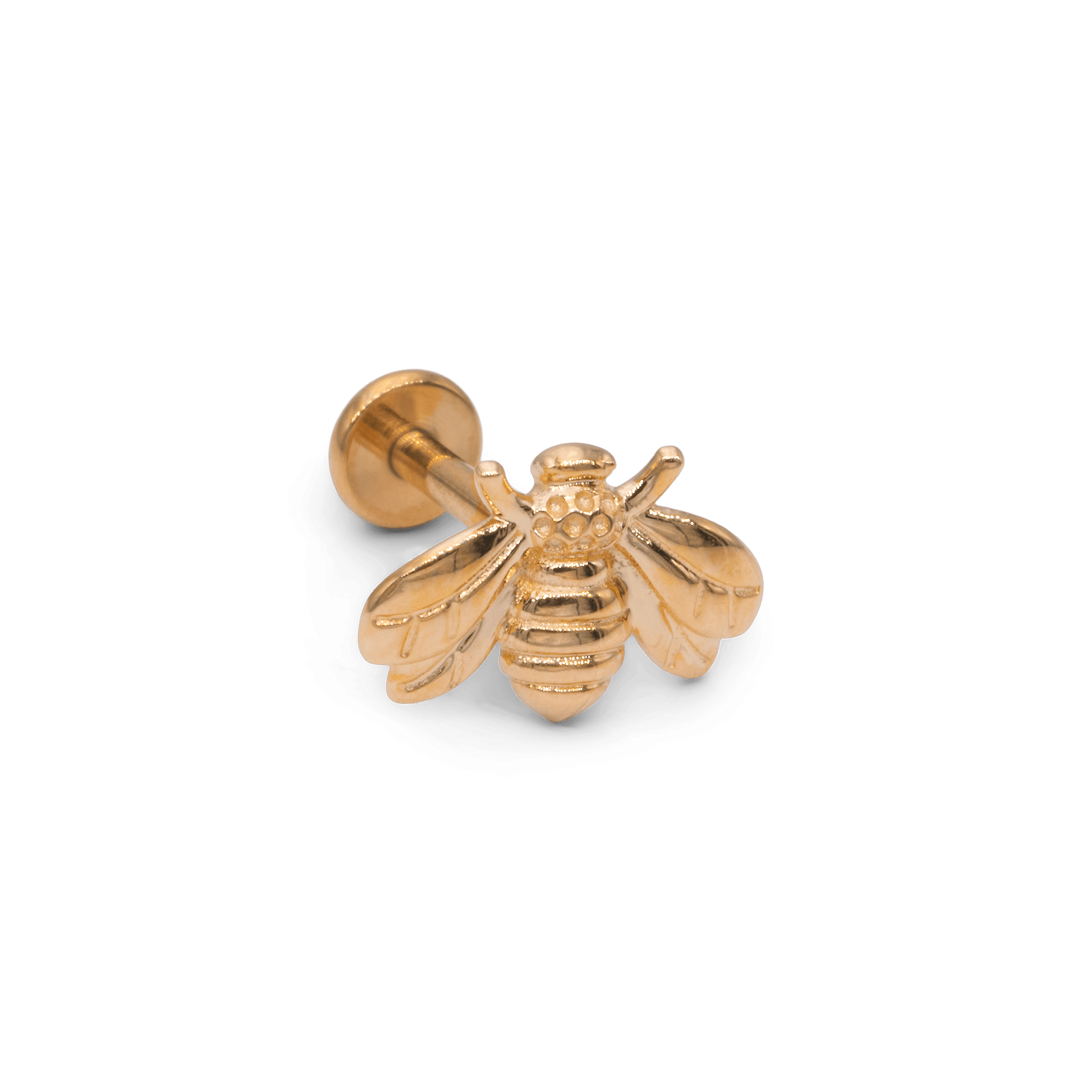 Queen Bee - Scary Needles